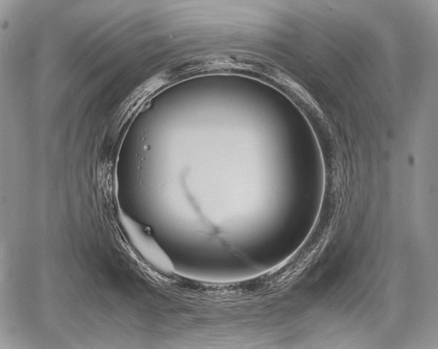 X0000067910793200604171337