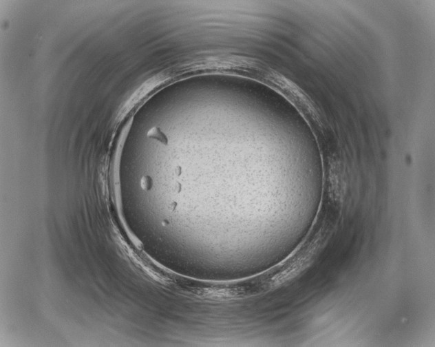 X0000067910794200604171337