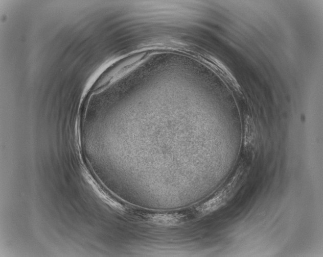 X0000067910796200604171337