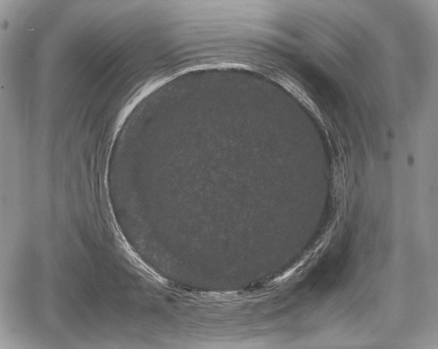 X0000067910797200604171337