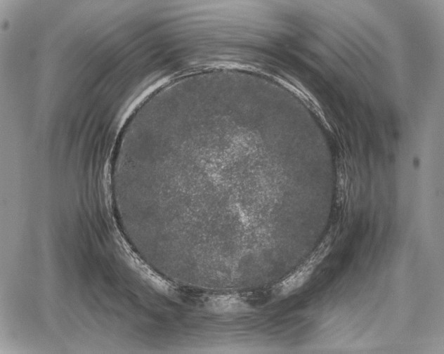 X0000067910798200604171337