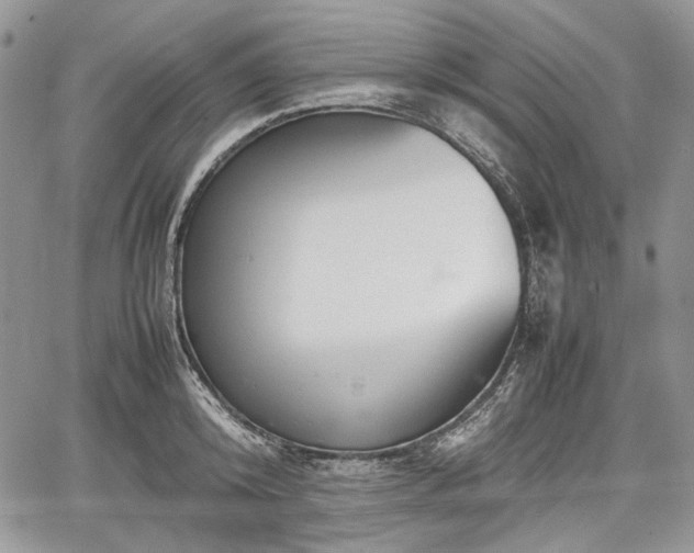 X0000067910800200604171337