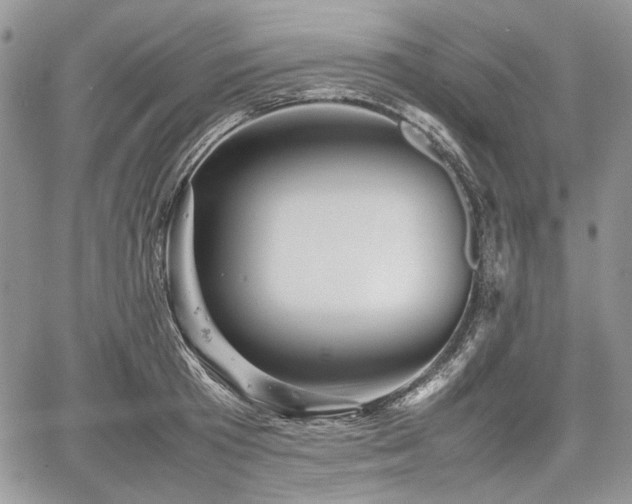 X0000067910801200604171337