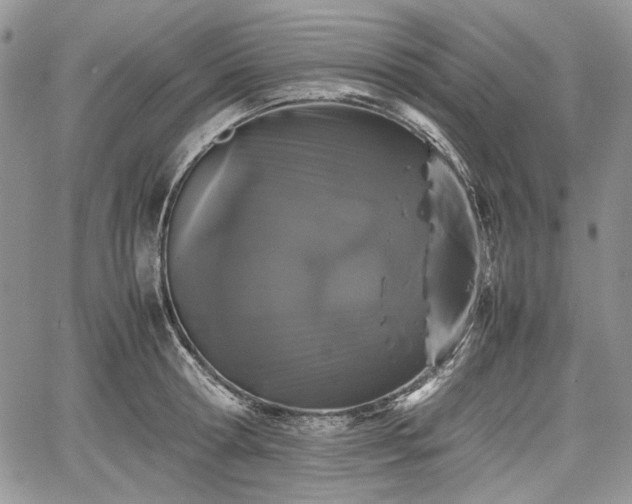 X0000067910802200604171337