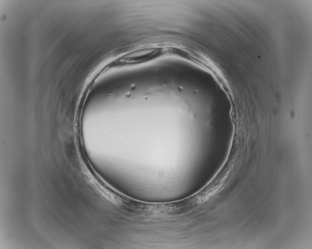 X0000067910803200604171337