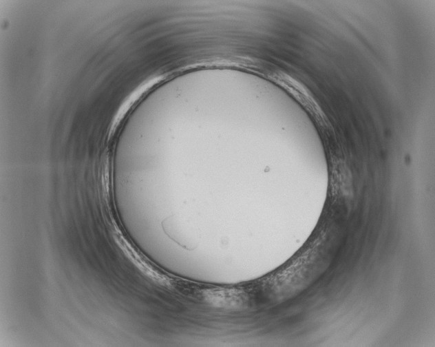 X0000067910804200604171337