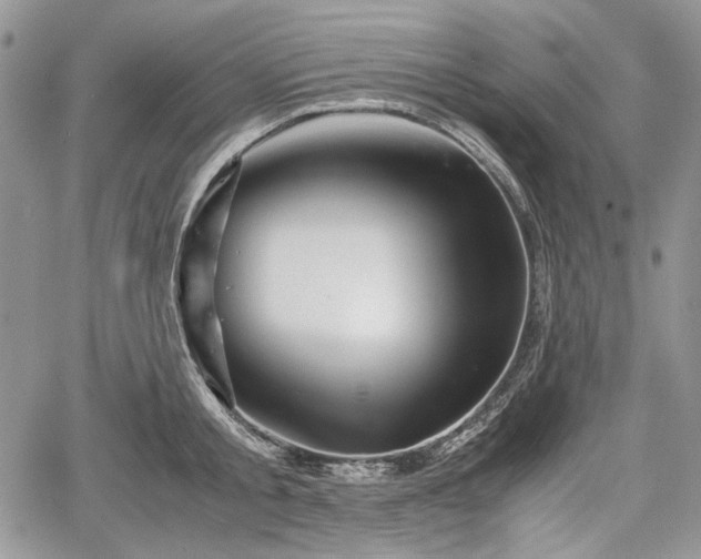 X0000067910805200604171337