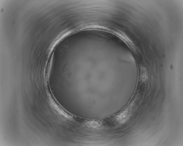 X0000067910806200604171337