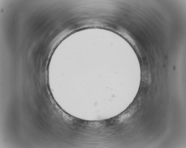 X0000067910807200604171337