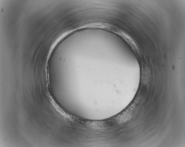 X0000067910808200604171337