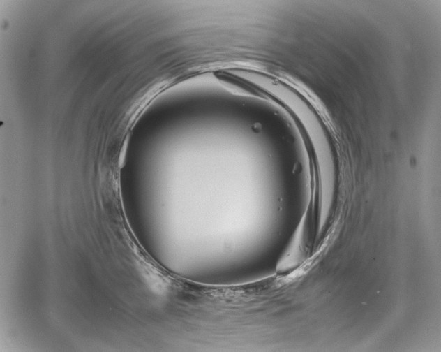 X0000067910809200604171337