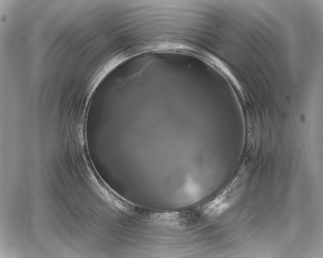 X0000067910810200604171337