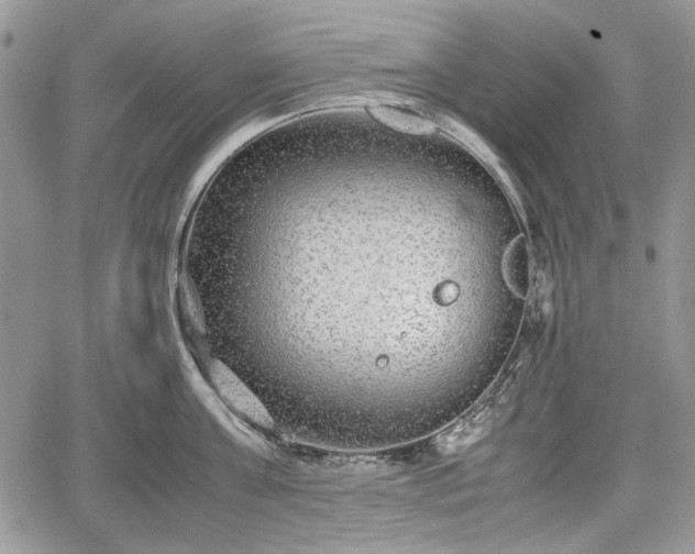 X0000067910811200604171337