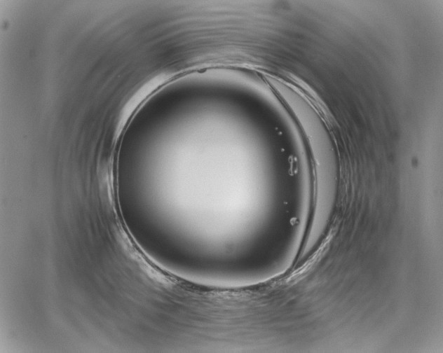 X0000067910812200604171337