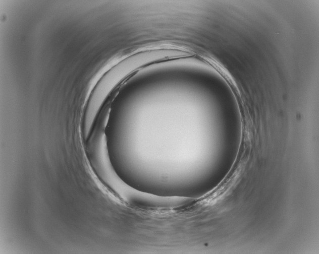 X0000067910813200604171337