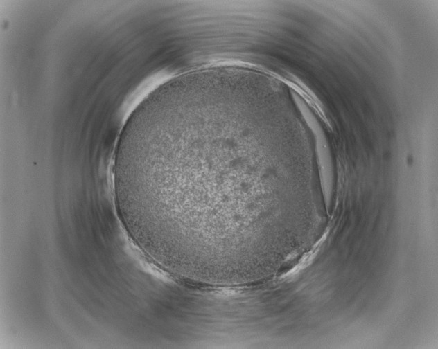 X0000067910814200604171337