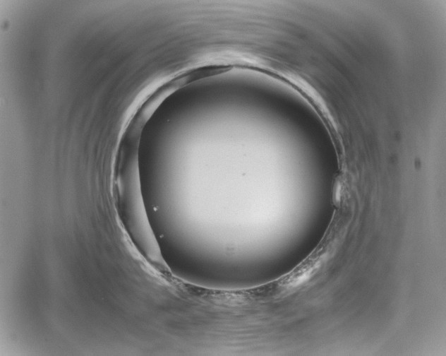 X0000067910815200604171337