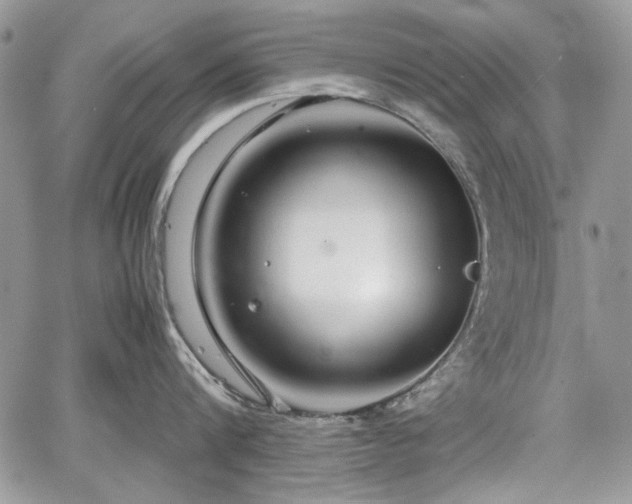 X0000067910816200604171337