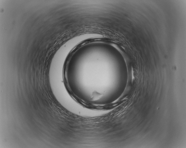 X0000067910818200604171336