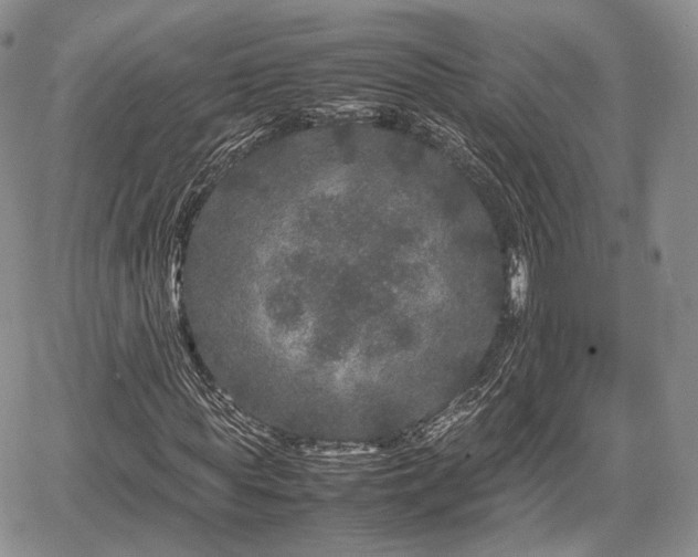 X0000067910819200604171336