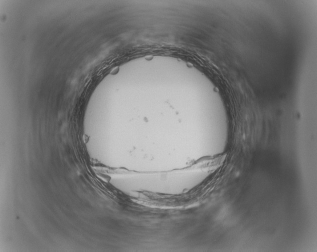 X0000067910820200604171336