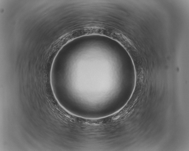 X0000067910821200604171336