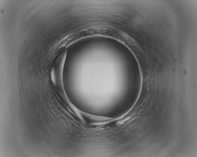 X0000067910822200604171336