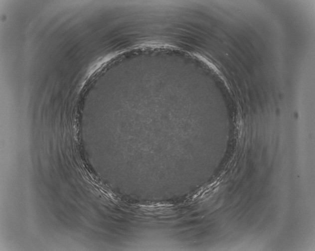 X0000067910823200604171336