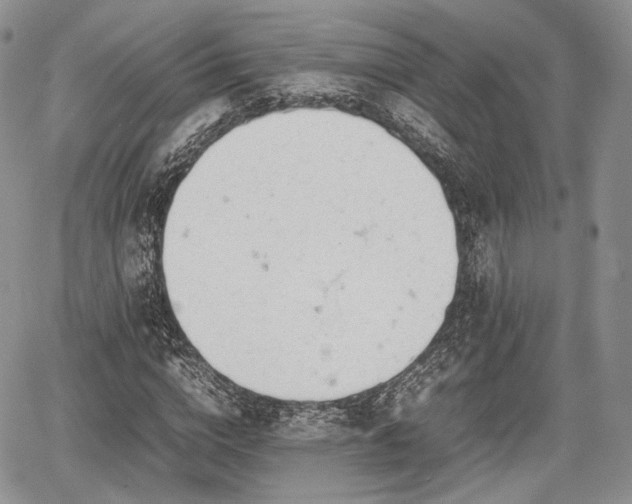 X0000067910824200604171336