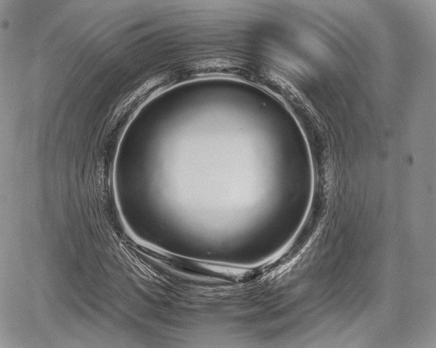 X0000067910825200604171336