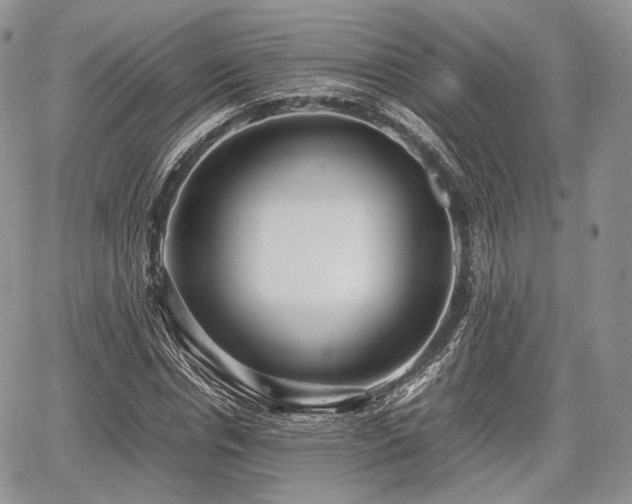 X0000067910826200604171336