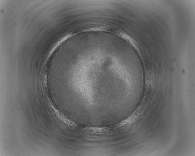 X0000067910827200604171336