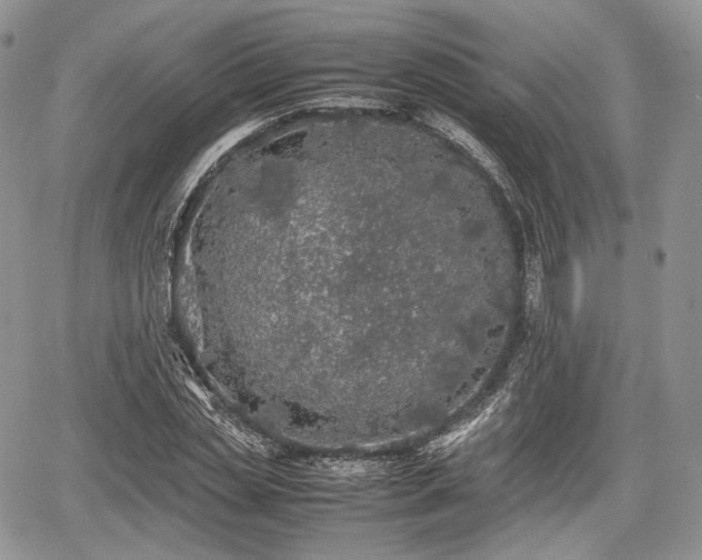 X0000067910829200604171336