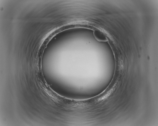 X0000067910830200604171336