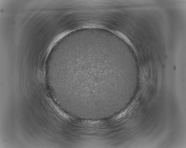 X0000067910831200604171336