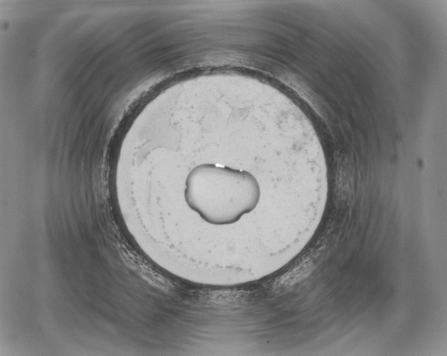 X0000067910832200604171336