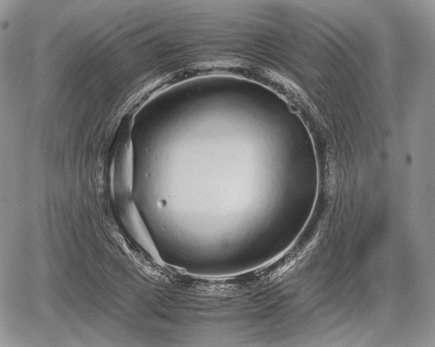 X0000067910833200604171336