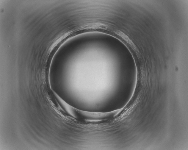 X0000067910834200604171336