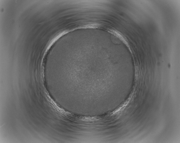 X0000067910835200604171336