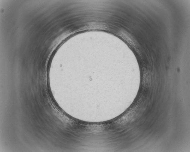 X0000067910836200604171336