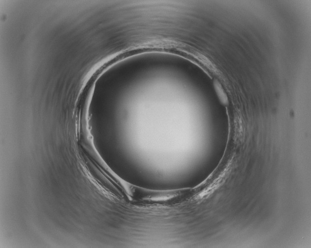 X0000067910838200604171336