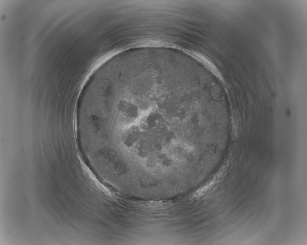 X0000067910839200604171336