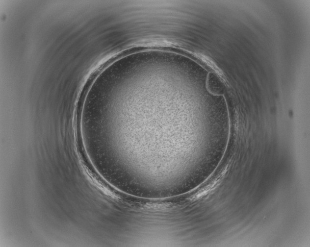 X0000067910840200604171336