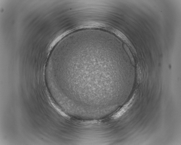 X0000067910842200604171337