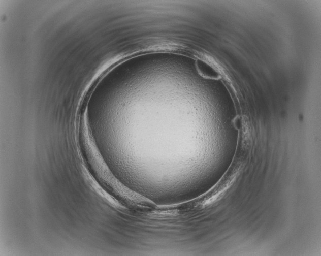 X0000067910843200604171337