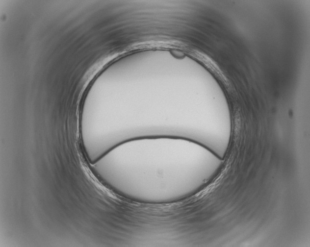 X0000067910844200604171337