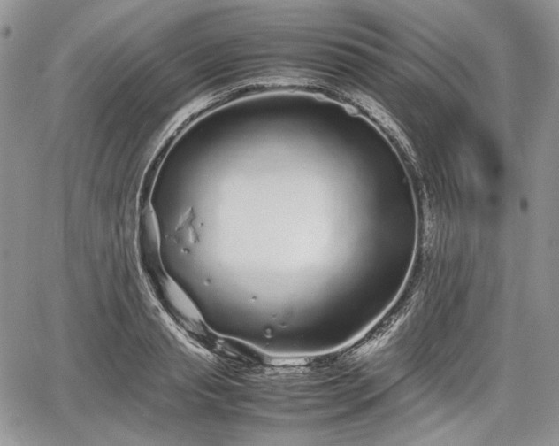 X0000067910845200604171337