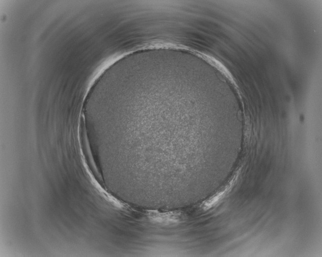 X0000067910847200604171337