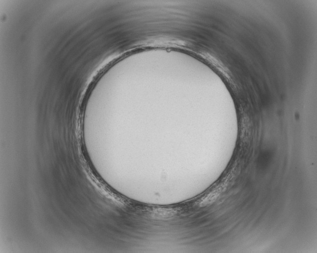 X0000067910848200604171337