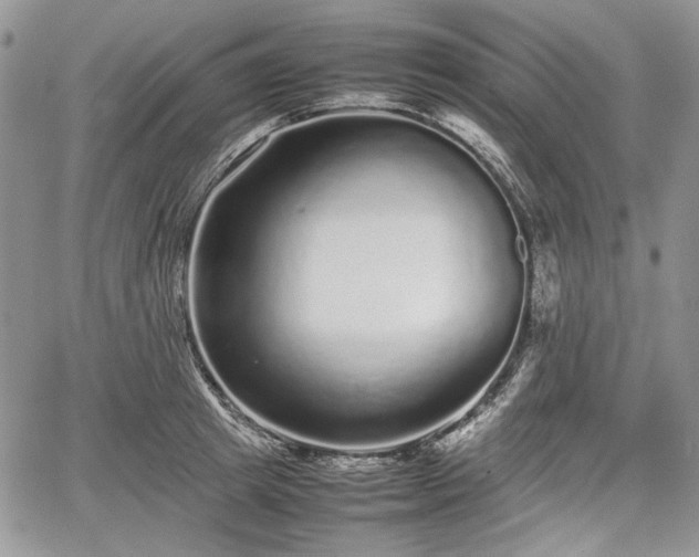 X0000067910849200604171337